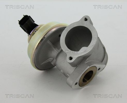 TRISCAN Vanne EGR 8813 16102 Soupape EGR SUBARU TRISCAN 8813 16102