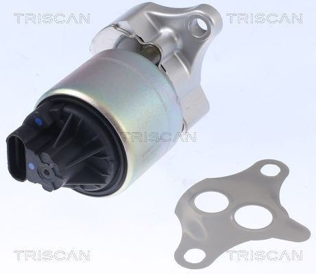 TRISCAN EGR-ventil 8813 21001 TRISCAN 8813 21001 AGR ventil Chevrolet Spark M300 billig