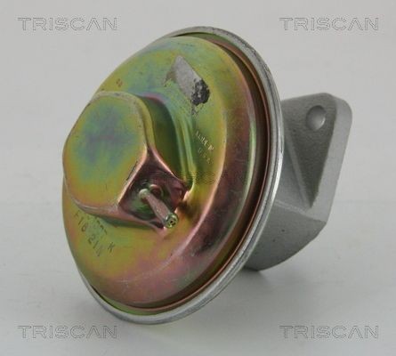 TRISCAN EGR-ventil 8813 21007 TRISCAN 8813 21007 EGR-ventil Leganza Sedan (V100) original