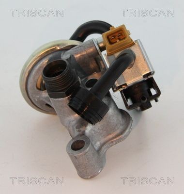 TRISCAN EGR-ventil 8813 23005 TRISCAN 8813 23005 AGR ventil Mercedes W202 billig