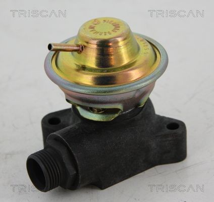 TRISCAN EGR valve 8813 23204 TRISCAN 8813 23204 EGR valve MERCEDES-BENZ 190 (W201) E 1.8 (201.018) 109 hp 1990