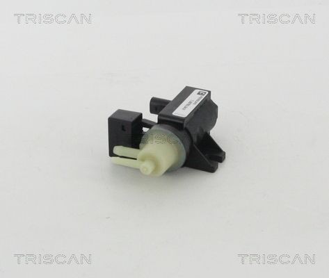 TRISCAN EGR-ventil 8813 23206 TRISCAN 881323206 Smart Fortwo 450 Coupe EGR modul pris