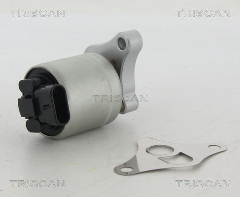 TRISCAN Válvula EGR 8813 24002 Válvula de recirculação dos gases de escape TRISCAN OUTBACK 8813 24002 baratos