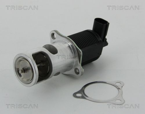 TRISCAN EGR-klapp 8813 25038 8813 25038 EGR klapp RENAULT VEL SATIS TRISCAN