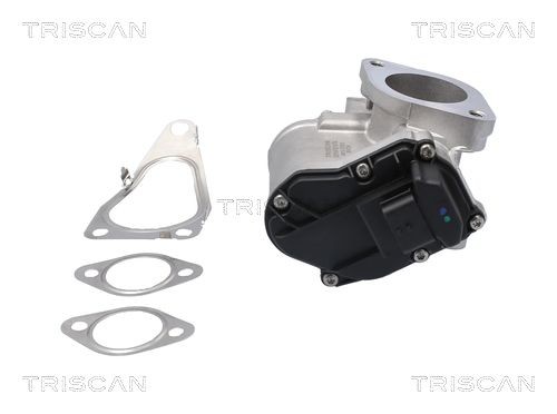 TRISCAN Βαλβίδα AGR 8813 25201 8813 25201 Βαλβίδα EGR RENAULT MASTER TRISCAN