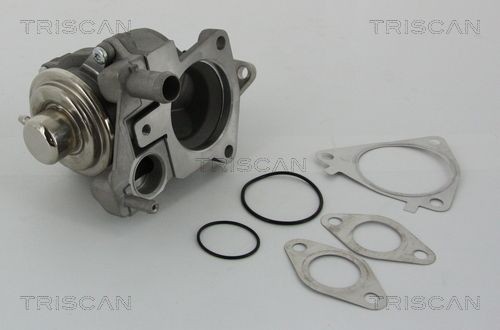 TRISCAN EGR-ventil 8813 28019 8813 28019 EGR CITROËN BERLINGO TRISCAN