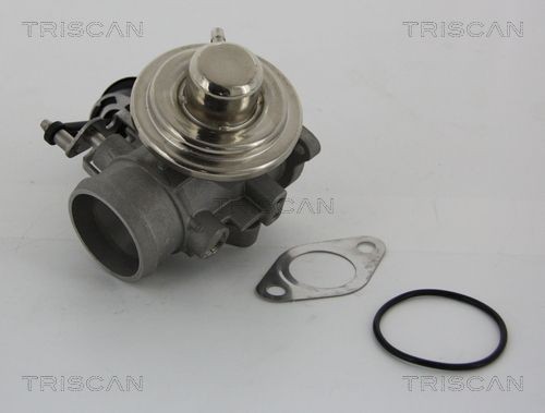 TRISCAN EGR klep 8813 29001 8813 29001 EGR klep TRISCAN VOLKSWAGEN PHAETON