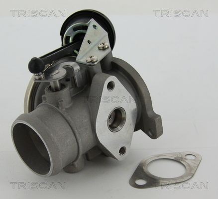 TRISCAN Valvola EGR 8813 29022 8813 29022 costo Valvola EGR Volkswagen MULTIVAN TRISCAN
