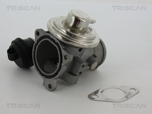TRISCAN Valvola EGR 8813 29057 8813 29057 Valvola EGR TRISCAN Volkswagen MULTIVAN costo