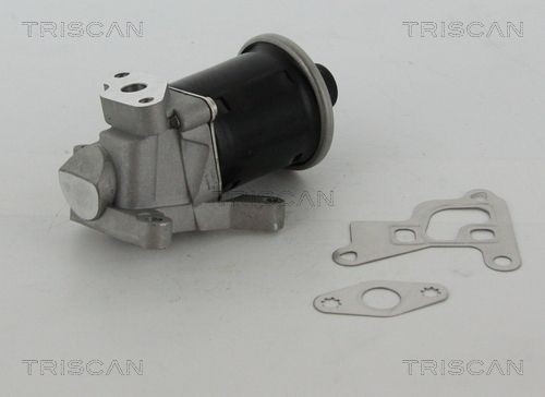 TRISCAN EGR klep 8813 29100 Uitlaatgasregelingsklep TRISCAN PHAETON 8813 29100 goedkoop