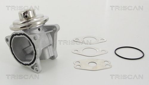 TRISCAN EGR-ventil 8813 29111 8813 29111 TRISCAN agr ventil Toyota HILUX Pick-up