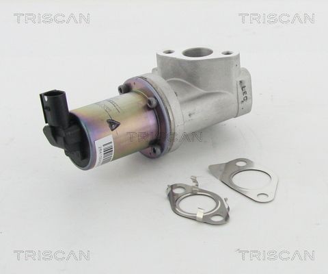 TRISCAN Vanne EGR 8813 43021 Pompe EGR SUBARU TRISCAN 8813 43021