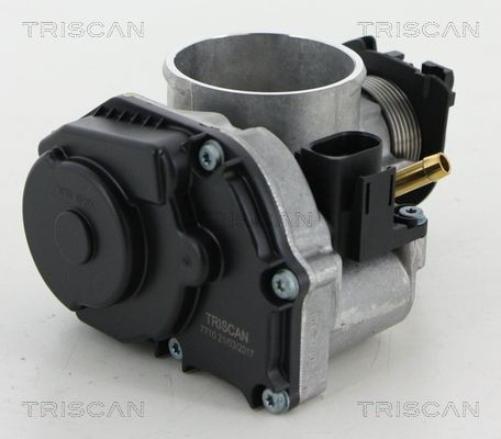 TRISCAN Corpo farfallato 8820 29016 8820 29016 Corpo farfallato TRISCAN PEUGEOT 508 costo