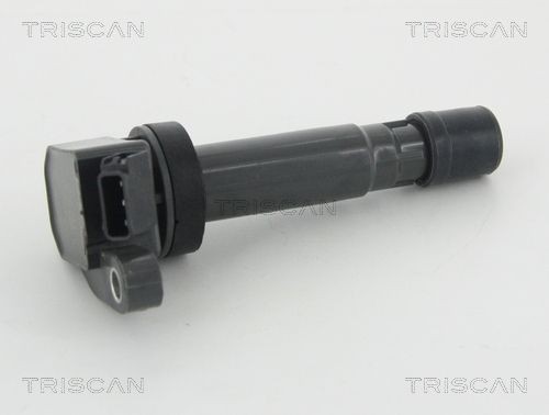 TRISCAN Bobina d'accensione 8860 41015 8860 41015 Bobina d'accensione TRISCAN RENAULT FLUENCE costo