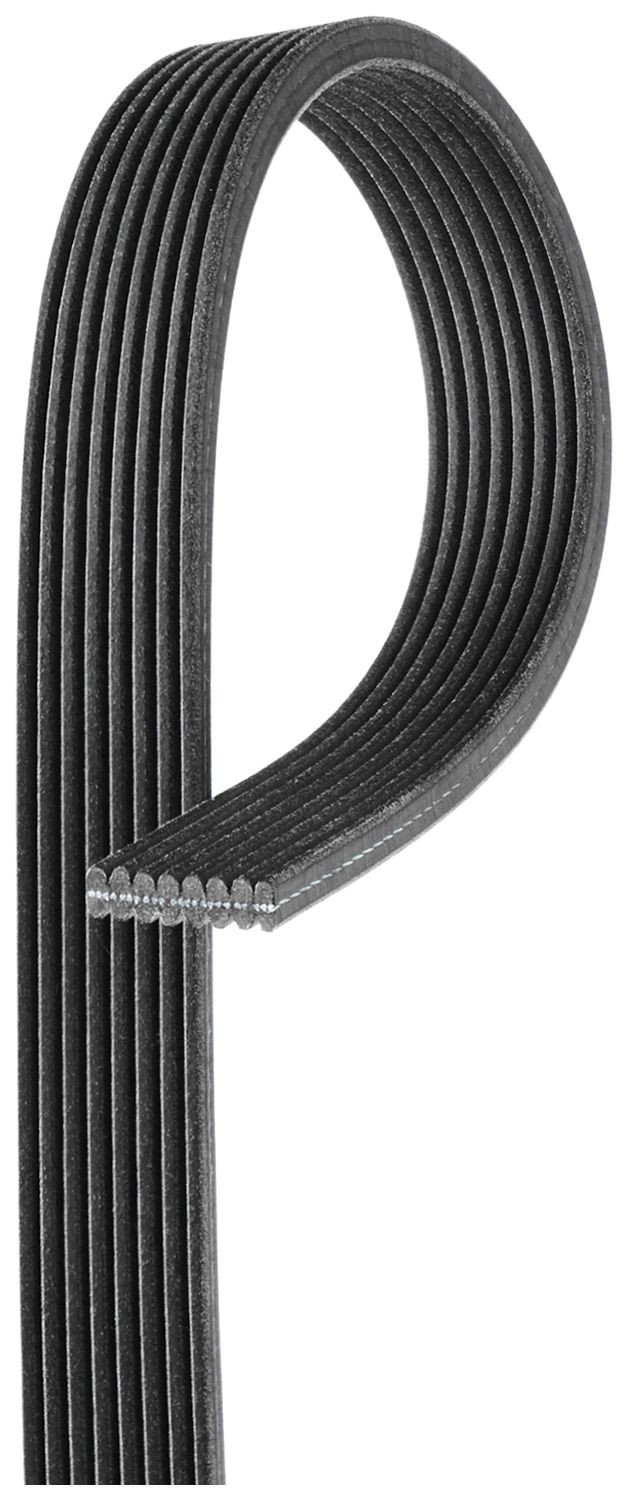 GATES Multireim 8DPK1445 GATES 8DPK1445 Kileribberem Land Rover Discovery LA billige