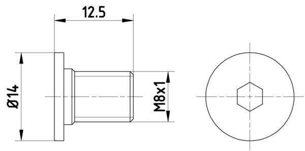 HELLA Skrue, bremseskive 8DZ 355 209-021 HELLA 8DZ355209-021 Skrue, bremseskive Opel MOVANO originale