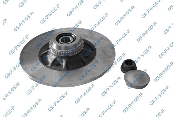 GSP Bremseskive 9225039K 9225039K Bremseskive RENAULT MEGANE GSP