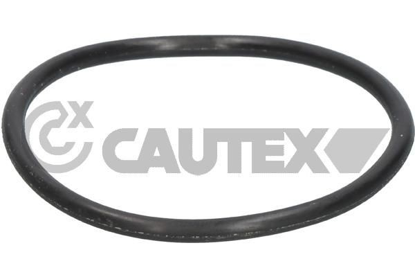 CAUTEX Pakning, termostat 952036 Kjølevannstetning NISSAN CAUTEX 952036