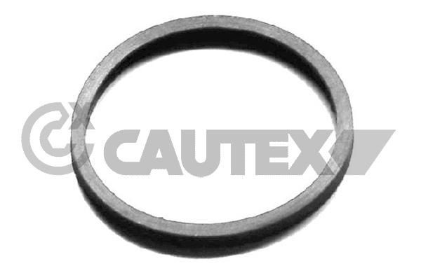 CAUTEX Pakning, termostat 954208 Kjølevannstetning CAUTEX NISSAN 954208