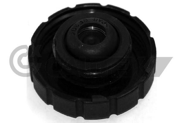 CAUTEX Τάπα κλεισίματος, δοχείο ψυκτικού υγρού 954270 Τάπα κλεισίματος δοχείο ψυκτικού υγρού CAUTEX MERCEDES-BENZ 954270