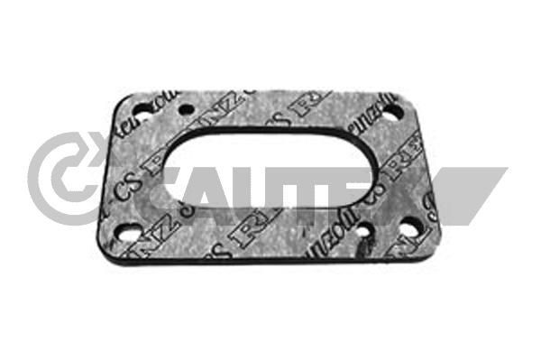CAUTEX Flangia, Carburatore 957013 CAUTEX 957013 Flangia carburatore Twingo 1 Serie originali prezzo