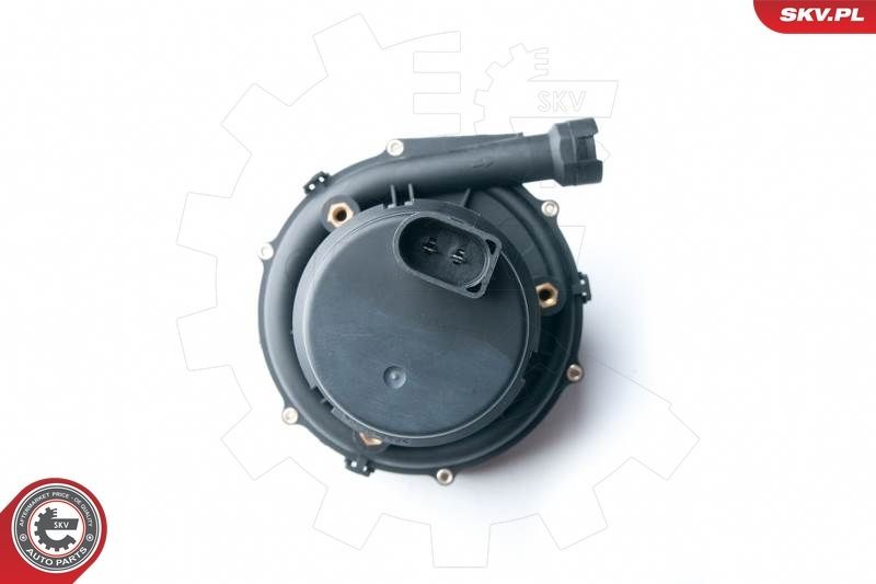 ESEN SKV Αντλία δευτερεύοντος αέρα 96SKV201 96SKV201 Αντλία δευτερεύοντος αέρα BMW Z3 ESEN SKV