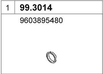 ASSO Anello tenuta, Tubo gas scarico 99.3014 ASSO 99.3014 Guarnizione tubo gas scarico Peugeot 406 Coupe prezzo