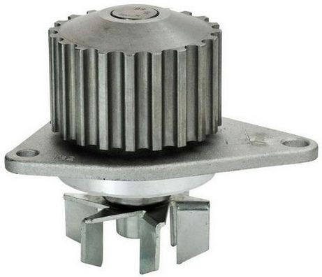 DENCKERMANN Wasserpumpe A310029P Kühlwasserpumpe DENCKERMANN SAXO A310029P günstig