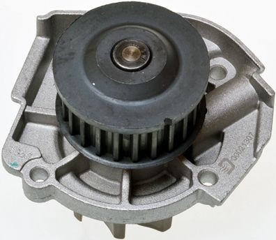 DENCKERMANN Vesipumppu A310923P A310923P DENCKERMANN Vesipumppu Nissan JUKE hinta