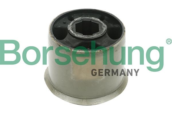 Borsehung Anti roll bar bush B12230 Borsehung B12230 Volkswagen T-Cross (C11_) anti-roll bar bushes replacement