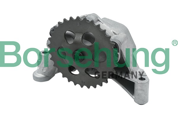 Borsehung Oljepumpe B12689 Borsehung Oljepumpe VW B12689