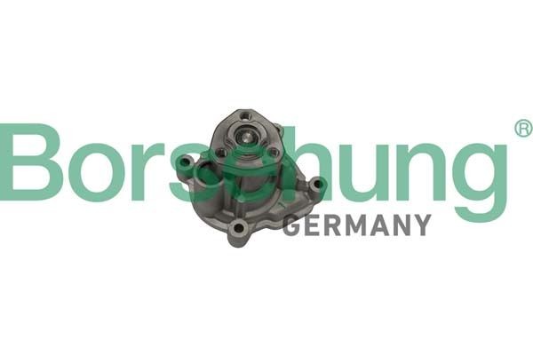 Borsehung Vattenpump B12696 B12696 Borsehung vattenpumpar VOLVO XC60
