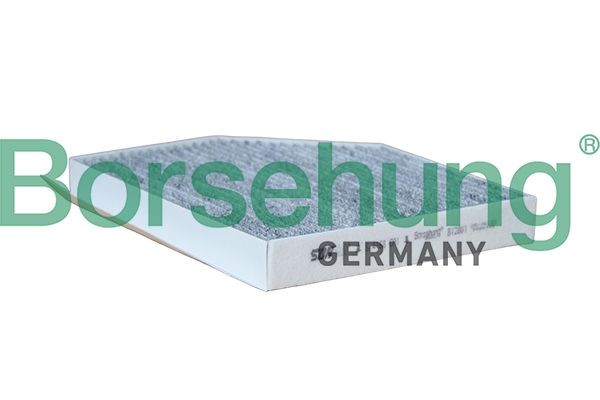 Borsehung Filtrs, Salona telpas gaiss B12801 Borsehung Salona filtrs B12801 pieredze