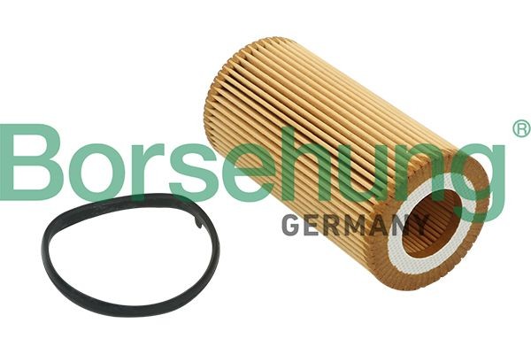 Borsehung Φίλτρο λαδιού B12815 Φίλτρο λαδιού Borsehung ASTRA B12815 φθηνά