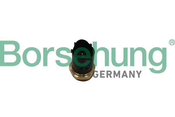 Temperature Switch, radiator fan Borsehung B13129 Borsehung B13129 Škoda FABIA 2019 Coolant fan switch price