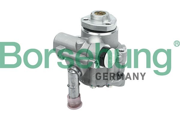 Borsehung Αντλία υδραυλικού τιμονιού B13213 B13213 Borsehung Τρόμπα υδραυλικού τιμονιού Chevrolet φθηνά