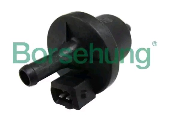 Borsehung Ventil, aktivkullfilter B13667 B13667 Lufte- / luftinnslippingsventil, drivstofftank MERCEDES-BENZ M-Klasse Borsehung
