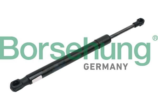Borsehung Tailgate strut B14190 B14190 Borsehung boot gas struts for DACIA