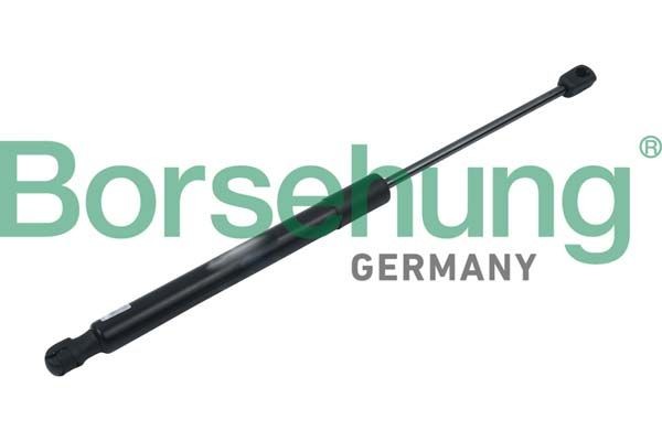 Borsehung Ammortizatore pneumatico, Cofano bagagli / vano carico B14192 Borsehung B14192 Ammortizzatore portellone posteriore Golf 1j5 originale prezzo