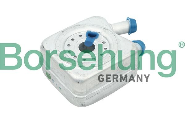 Borsehung Õliradiaator, mootoriõli B14497 Õlijahuti Borsehung AUDI B14497
