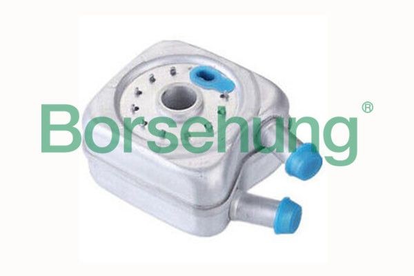Borsehung Chladič motorového oleja B14498 Borsehung Olejový chladič FORD B14498