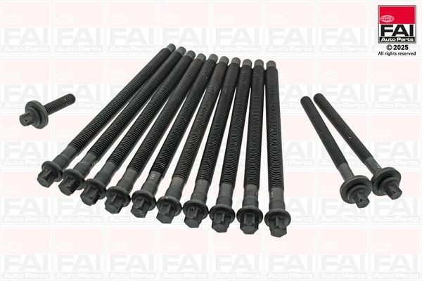 FAI AutoParts Syl.kannen pulttisarja B1460 C4 II Sedan kannen pultit FAI AutoParts B1460