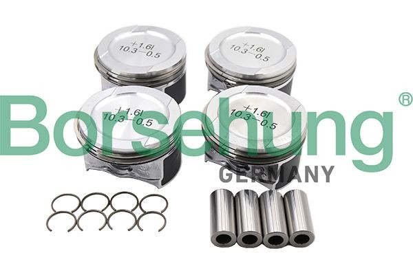 Borsehung Πιστόνι B16955 B16955 Borsehung Πιστονι Chevrolet φθηνά
