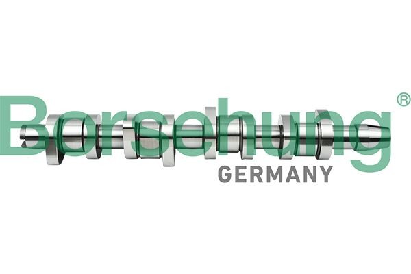 Borsehung Nockenwelle B17861 Nockenwellensatz Borsehung MASTER B17861 günstig