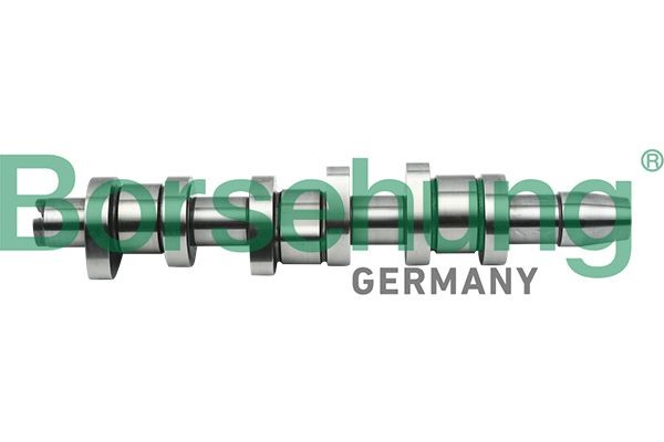 Borsehung Camshaft B17862 B17862 Borsehung cam kit for CITROЁN