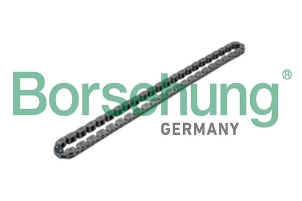 Borsehung Ķēde, Eļļas sūkņa piedziņa B17905 B17905 Piedziņas ķēde FORD S-MAX Borsehung