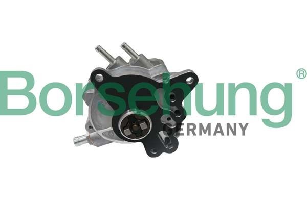 Borsehung Vacuümpomp rembekrachtiger B17906 Onderdrukpomp remsysteem Borsehung T1 Bus B17906 goedkoop