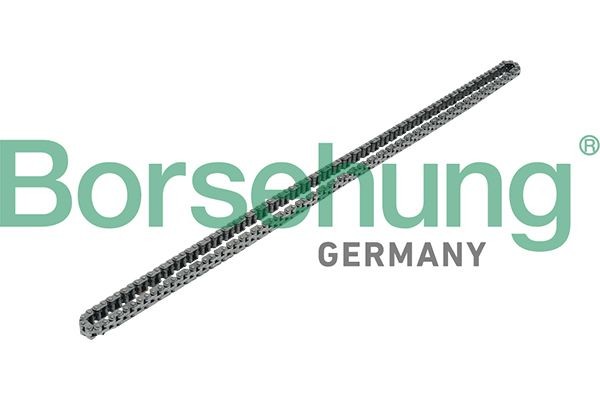 Borsehung Steuerkette B17908 B17908 Borsehung Steuerkette Passat 3g5 Kosten