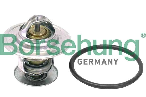 Borsehung Termostato motore B18262 B18262 Termostato refrigerante Volkswagen SHARAN Borsehung costo