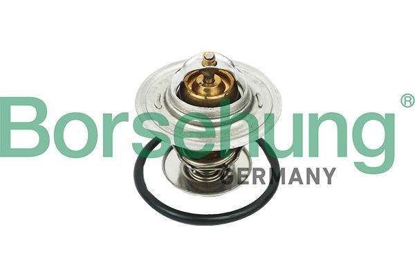 Borsehung Termostato motore B18268 B18268 Termostato refrigerante Borsehung Volkswagen SHARAN costo